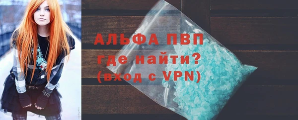 хмурый Белокуриха