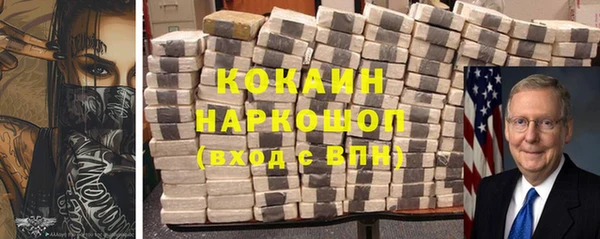 хмурый Белокуриха