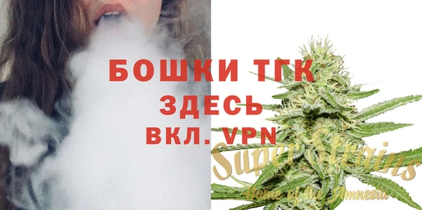 хмурый Белокуриха