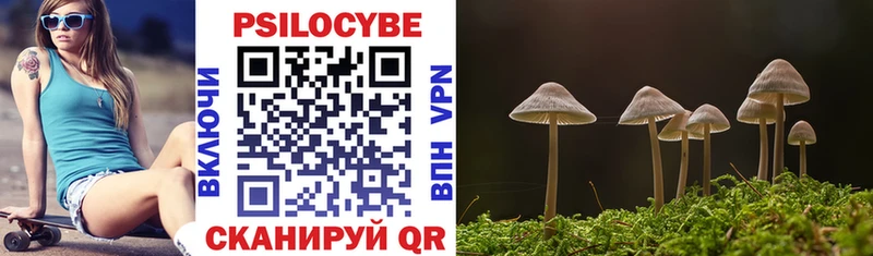 Псилоцибиновые грибы GOLDEN TEACHER  площадка формула  Большой Камень 
